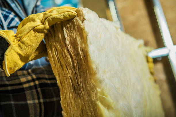Best Cellulose Insulation  in Dellwood, MO