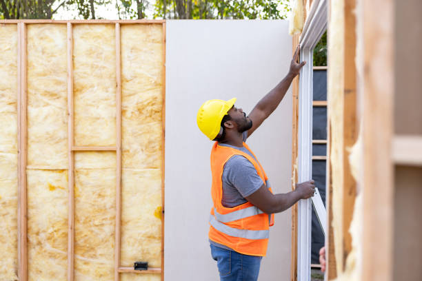 Best Home Insulation Services  in Dellwood, MO